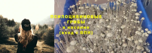 прущие крисы Саяногорск