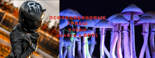 прущие крисы Саяногорск