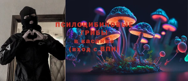 PSILOCYBIN Аркадак