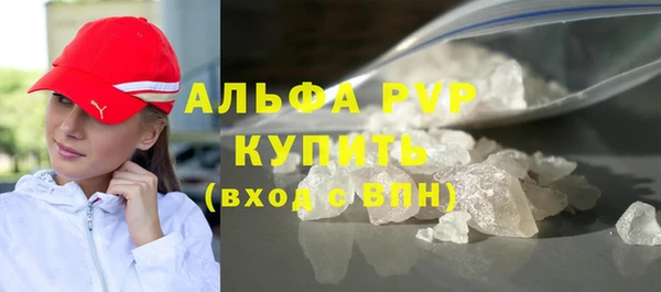 PSILOCYBIN Аркадак