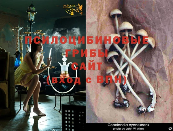 твердый Арсеньев